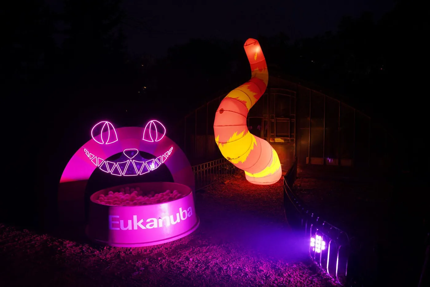 El Gato de Cheshire con integración de Eukanuba
