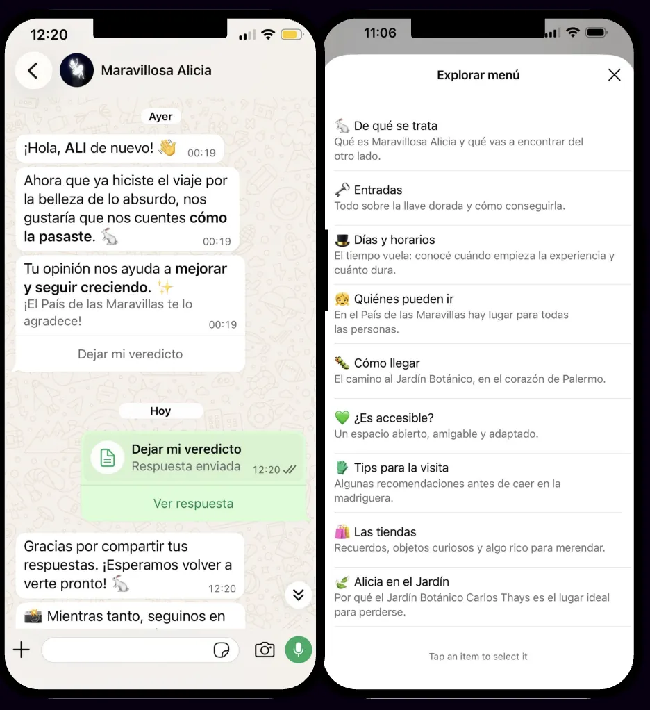 Capturas del chat de ALI en WhatsApp