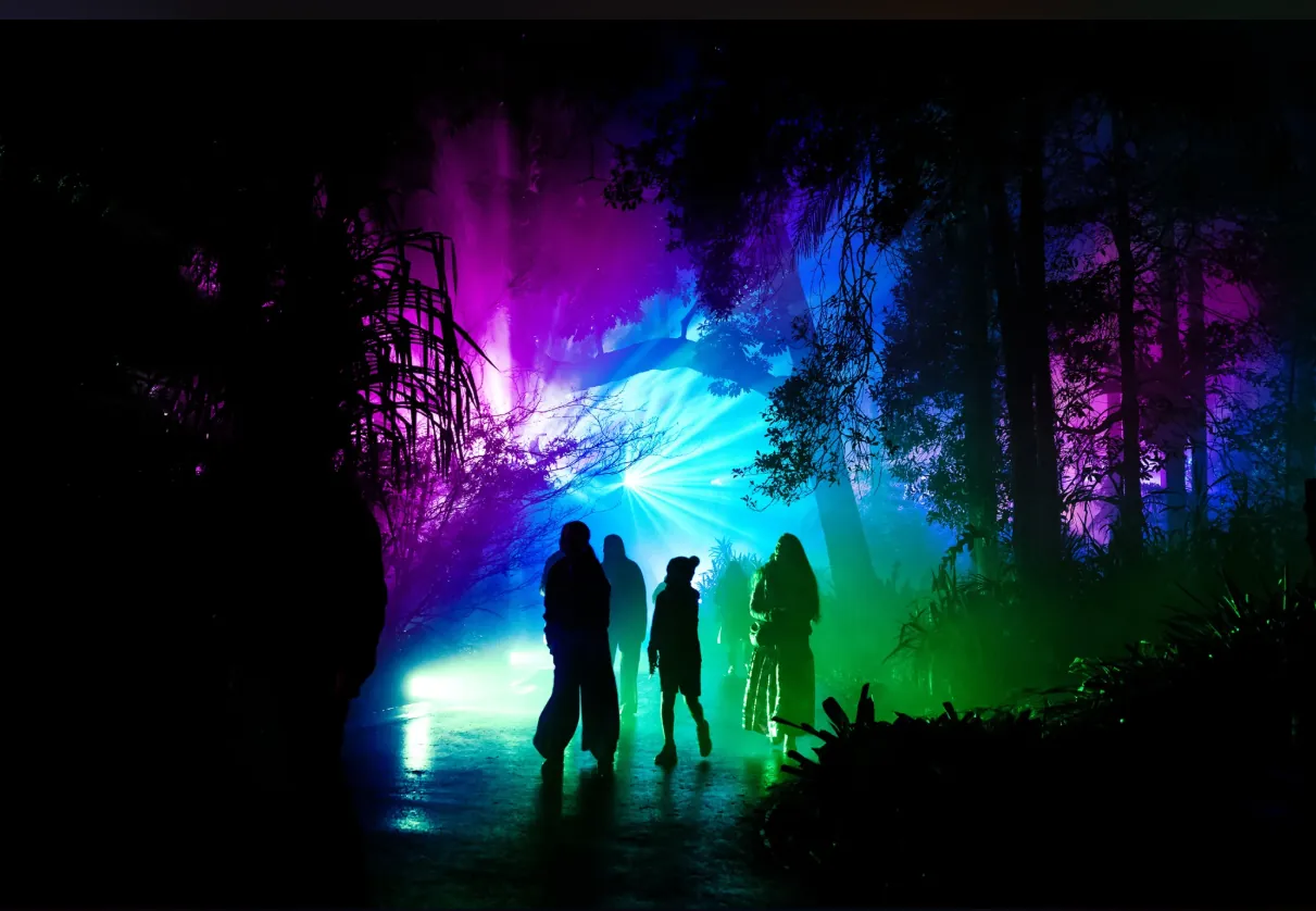 Público frente a una instalación de luz en un bosque