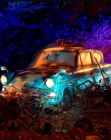 Auto iluminado entre la vegetación