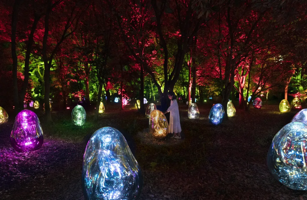 Esferas luminosas en un jardín nocturno